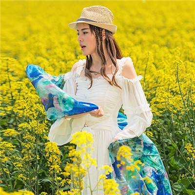 皇冠手机登录地址hg